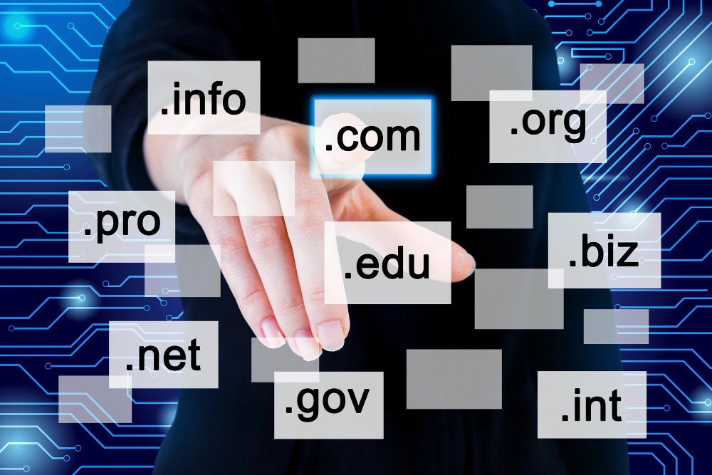 What is a Top Level Domain (TLD)?